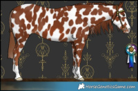 Horse Color:Chestnut Near Leopard 