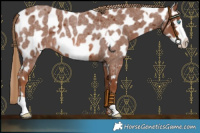 Horse Color:Red Roan Frame Near Leopard 