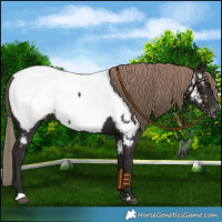 Horse Color:Liver Chestnut Near Fewspot