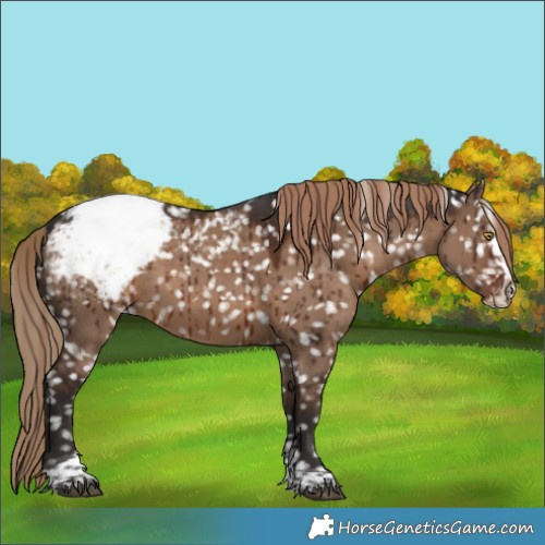 Horse Color:Liver Red Dun Splash Tobiano Snowcap Brindle 