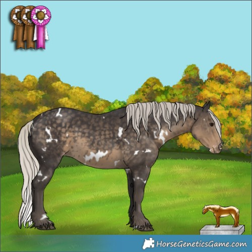 Horse Color:White Spotted Silver Smoky Black Appaloosa
