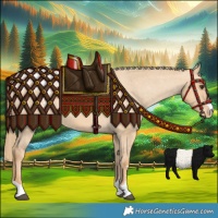 Horse Color:Red Dun Blanket 
