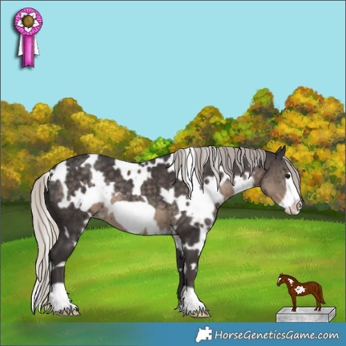 Horse Color:White Spotted Silver Smoky Black Frame 