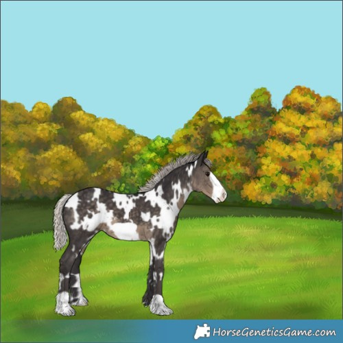 Horse Color:White Spotted Silver Smoky Black Frame 