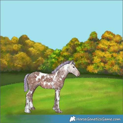Horse Color:Painted White Spotted Silver Black Ice 