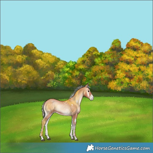 Horse Color:Painted White Spotted Silver Blue Onyx Pearl 