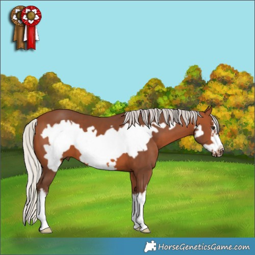Horse Color:White Spotted Silver Brown Frame 