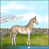 Horse Color:Chocolate Palomino Dun Sabino Rabicano Brindle