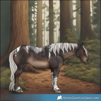 Horse Color:Powder White Silver Brown Tobiano 