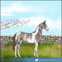 Horse Color:Liver Chestnut Sabino Tobiano Rabicano