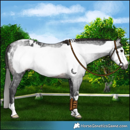 Horse Color:Gray Brown Frame Blanket 