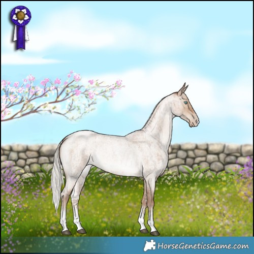 Horse Color:Silver Brown Roan Pearl Dun Sabino Rabicano Brindle 