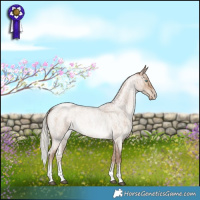 Horse Color:Silver Brown Roan Pearl Dun Sabino Rabicano Brindle 