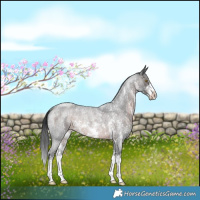 Horse Color:Brown Roan Sabino Rabicano 