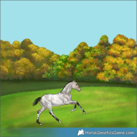 Horse Color:White Spotted Brown Roan Dun Varnish Rabicano 
