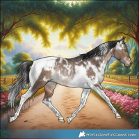 Horse Color:White Spotted Brown Dun Tobiano Rabicano