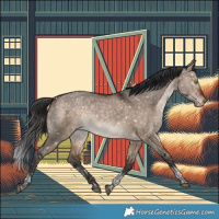 Horse Color:Bay Dun Tobiano Appaloosa Rabicano 