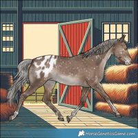 Horse Color:Silver Grullo Tobiano Appaloosa Rabicano 
