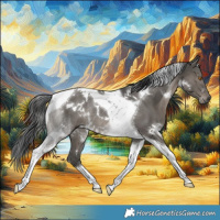 Horse Color:White Spotted Grullo Tobiano Rabicano