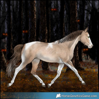 Horse Color:Brown Pearl Dun Splash Tobiano Rabicano 