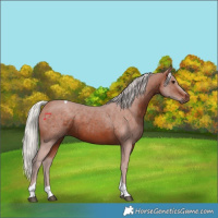 Horse Color:Silver Brown Tobiano 
