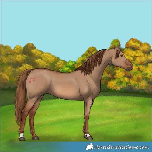 Horse Color:Red Dun 