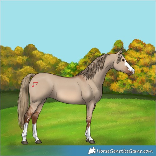 Horse Color:Red Dun 