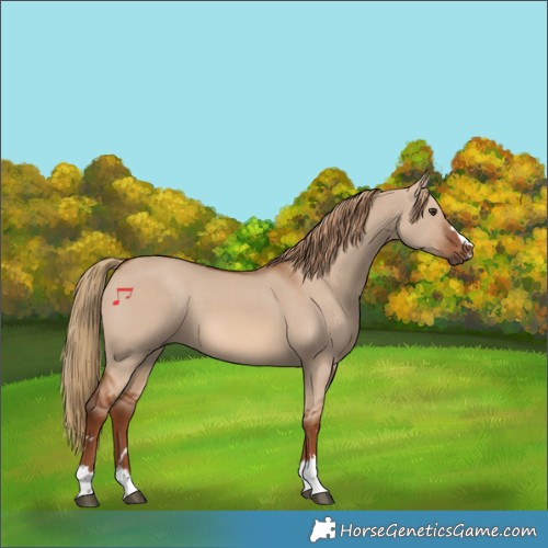 Horse Color:Red Dun 