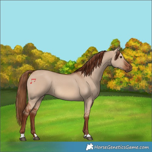 Horse Color:Red Dun 