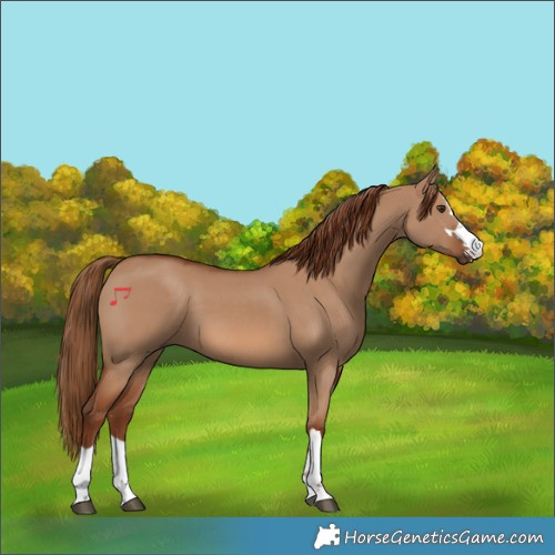 Horse Color:Red Dun 