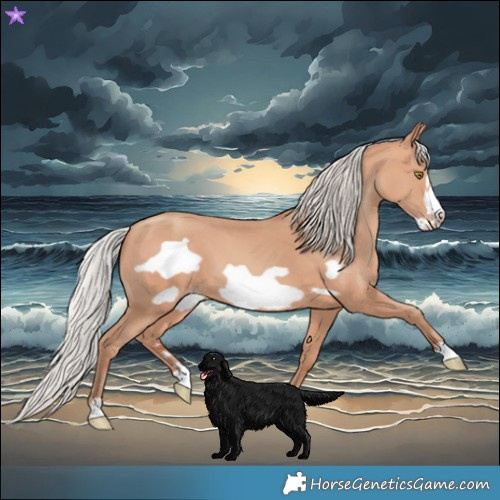 Horse Color:Silver Amber Champagne Frame