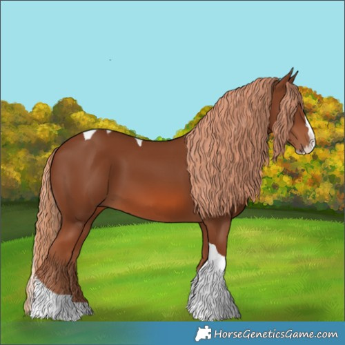 Horse Color:Chestnut Splash Tobiano 