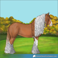 Horse Color:Chestnut Splash Tobiano 