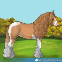 Horse Color:Chestnut Splash Tobiano 