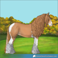 Horse Color:Chestnut Splash Tobiano 