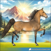 Horse Color:Buckskin 