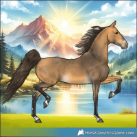 Horse Color:Buckskin 