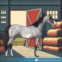 Horse Color:Brown Roan Sabino Frame 