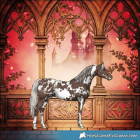 Horse Color:White Spotted Silver Black Appaloosa