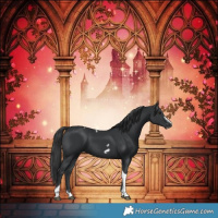 Horse Color:Black Tobiano Frame 