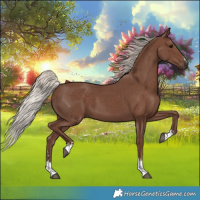 Horse Color:Silver Black 