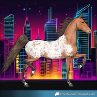 Horse Color:Bay Blanket 