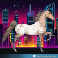 Horse Color:Bay Blanket