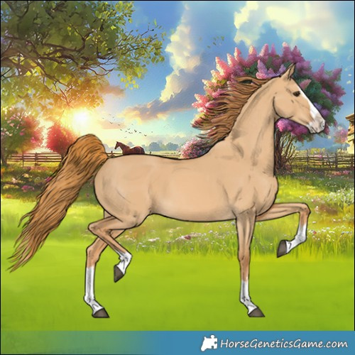 Horse Color:Red Dun Splash 