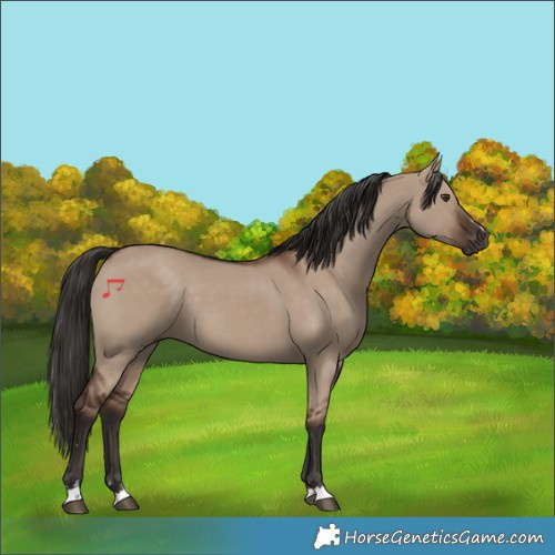 Horse Color:Liver Red Dun 