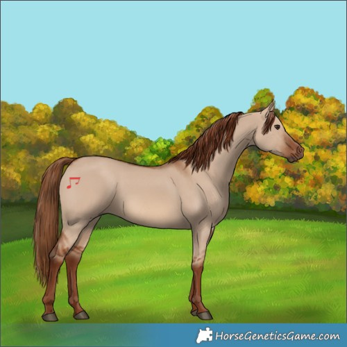 Horse Color:Red Dun 