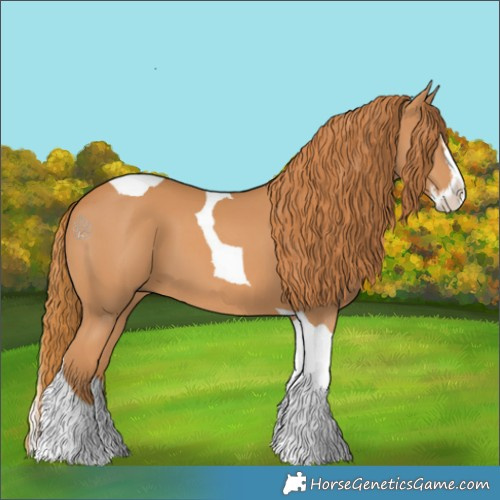 Horse Color:Chestnut Splash Tobiano 