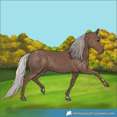 Horse Color:Silver Black 