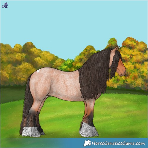 Horse Color:Bay Roan Tobiano 