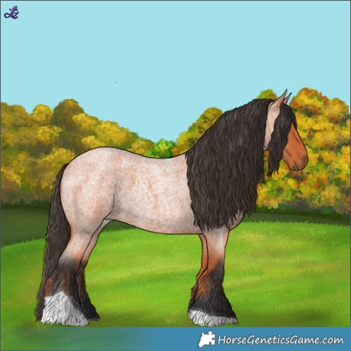 Horse Color:Bay Roan Tobiano 